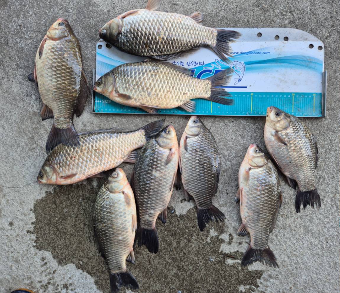 20260228_115702 - ���纻.jpg