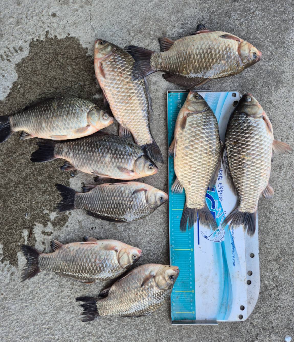 20260228_115657 - ���纻.jpg