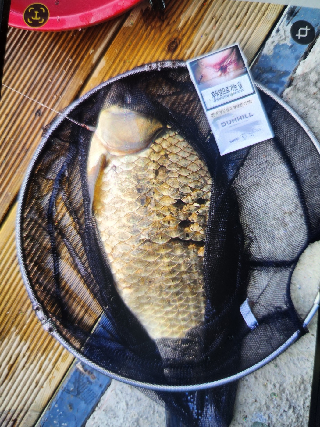 KakaoTalk_20260420_133742876_11 (1).jpg