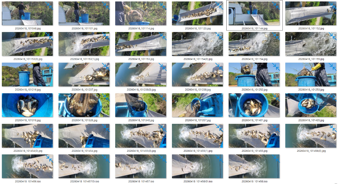 �̹��� 1.png