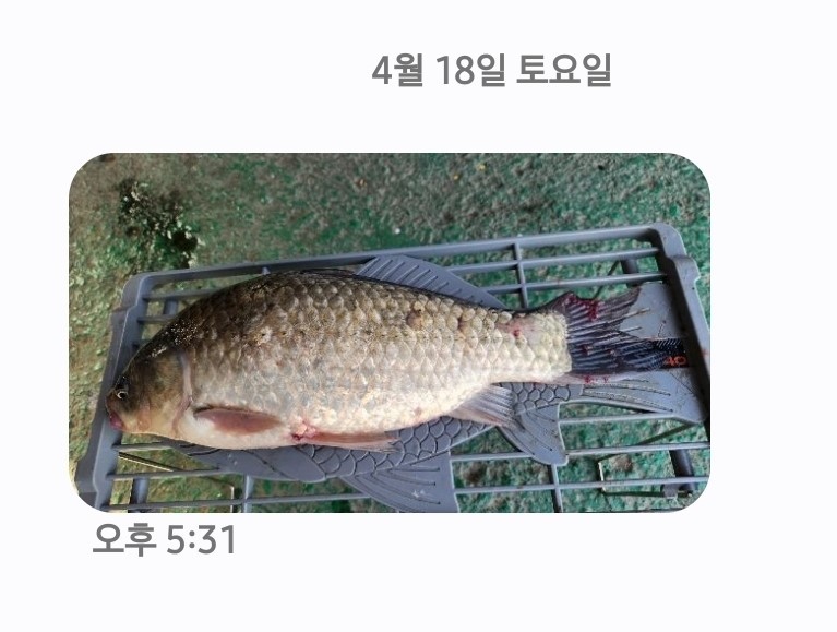 Screenshot_20260418_174920_Messages.jpg