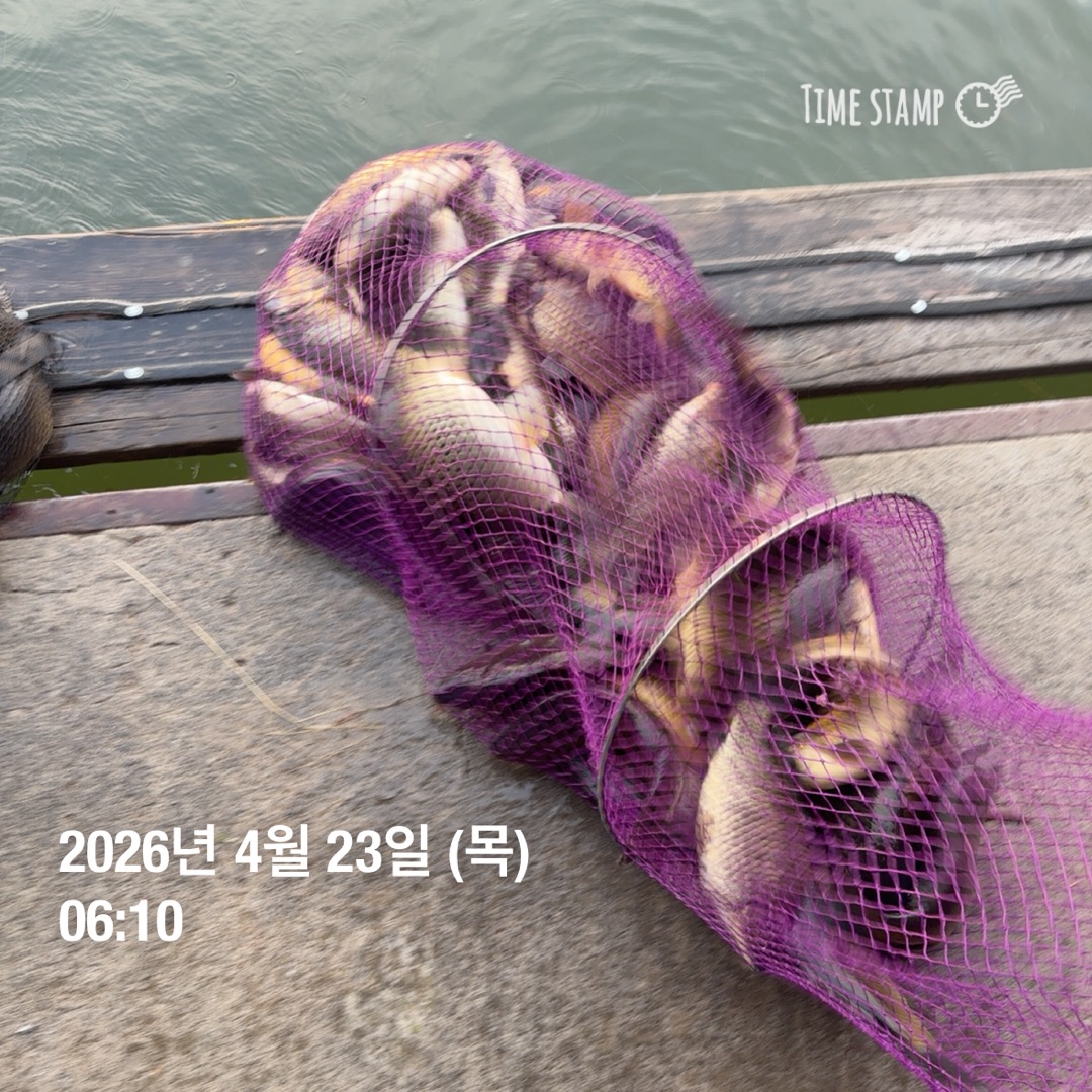 KakaoTalk_20260423_091203931_06.jpg