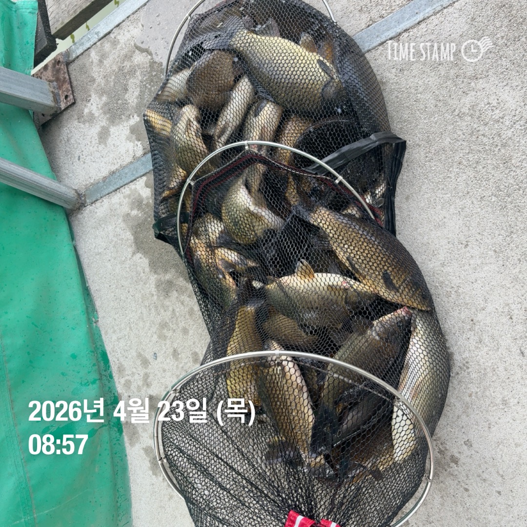 KakaoTalk_20260423_091203931.jpg