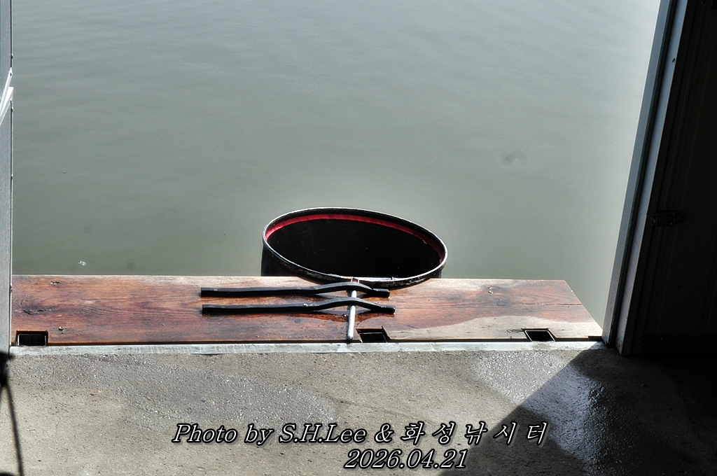 LSH_5241.JPG