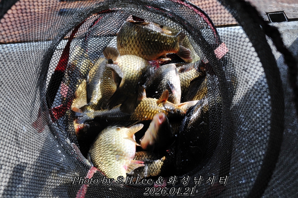 LSH_5245.JPG