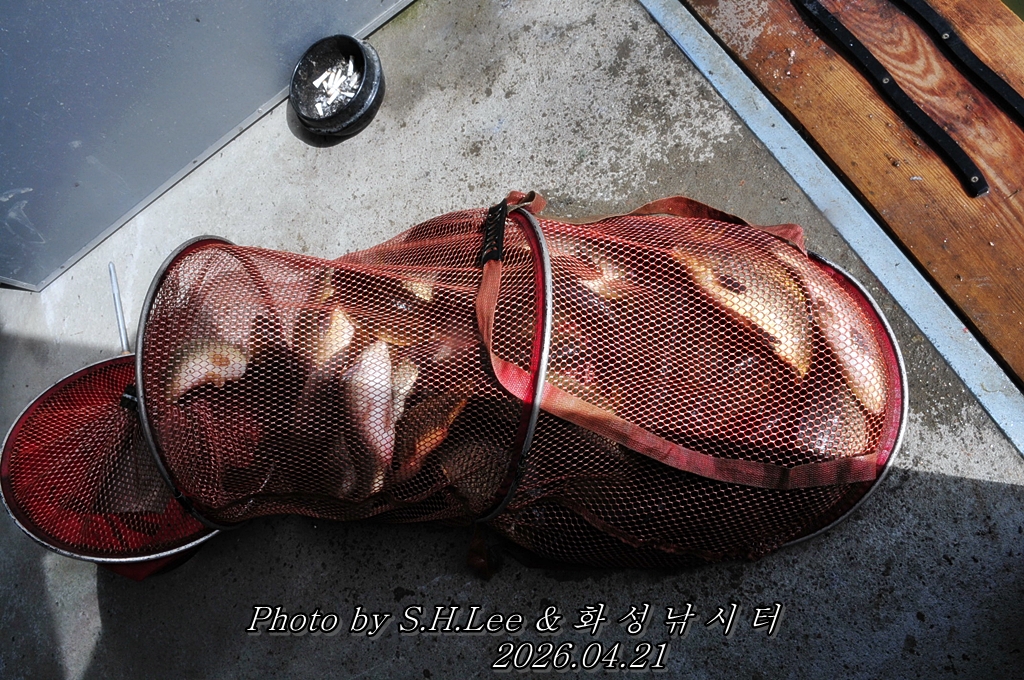 LSH_5231.JPG