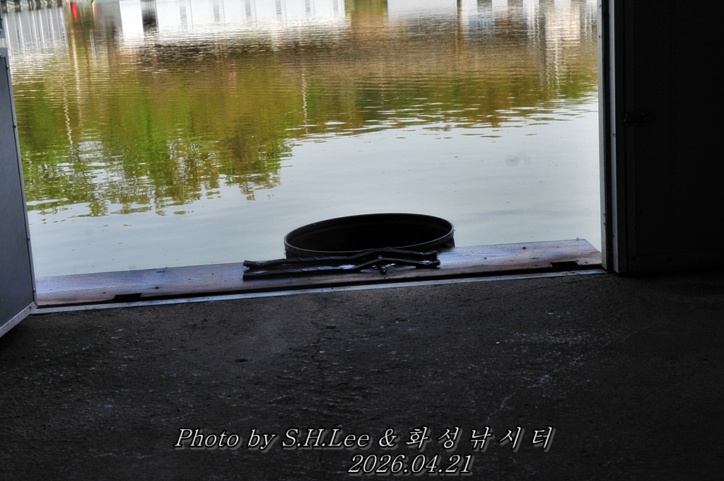 LSH_5255.JPG