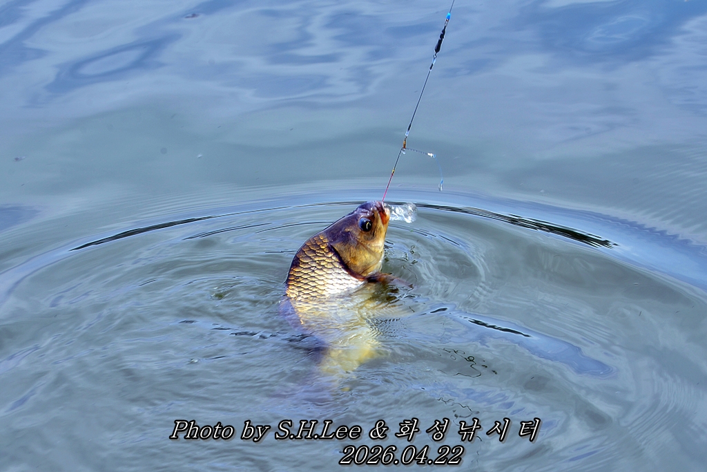 LSH_7557.JPG