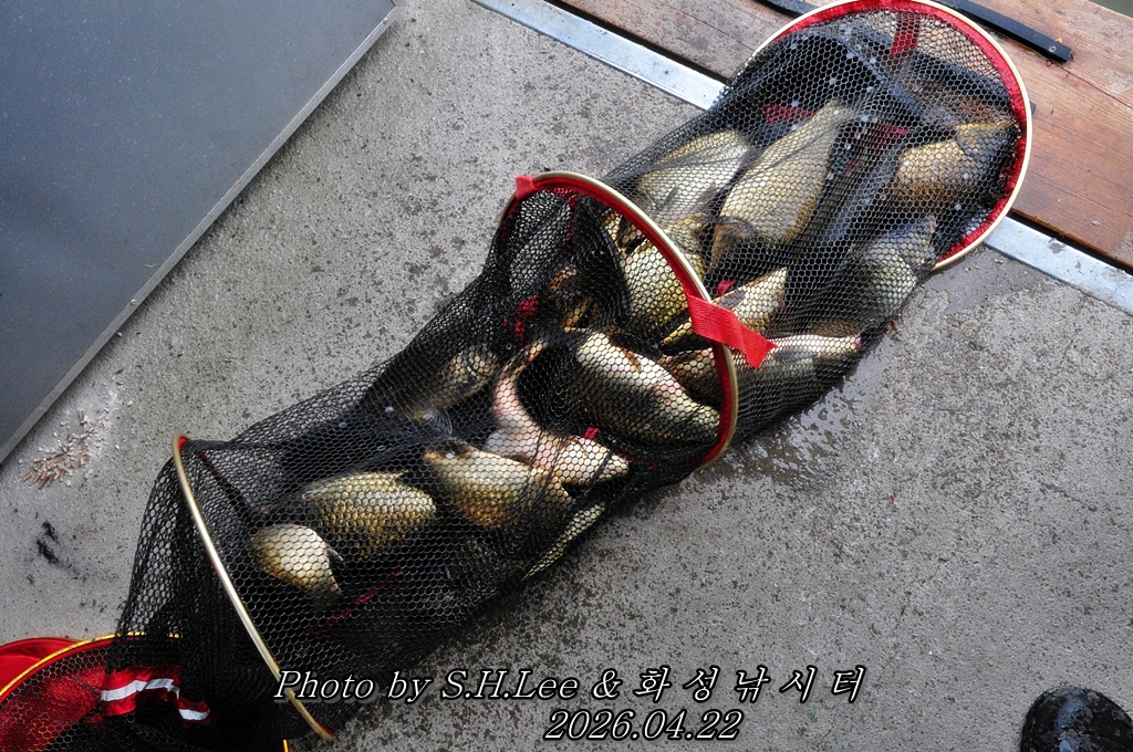 LSH_5265.JPG