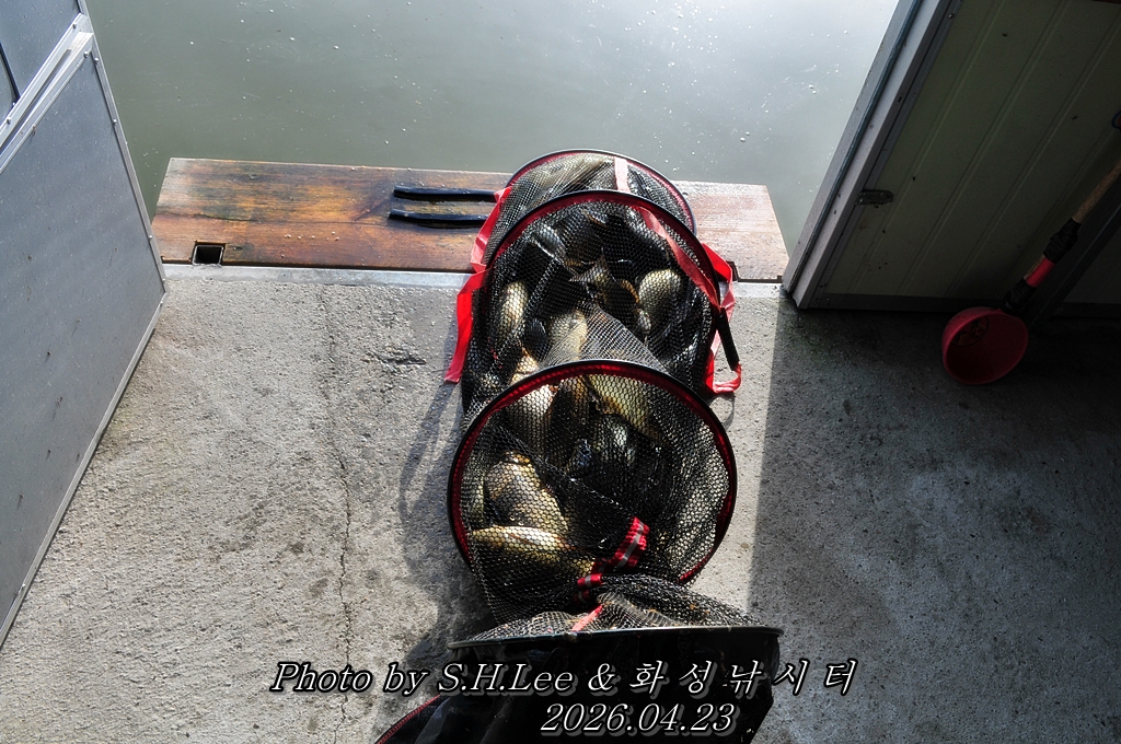 LSH_5343.JPG
