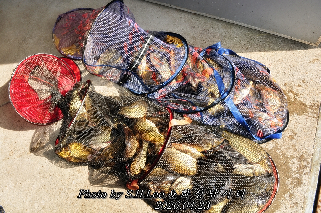 LSH_5380.JPG