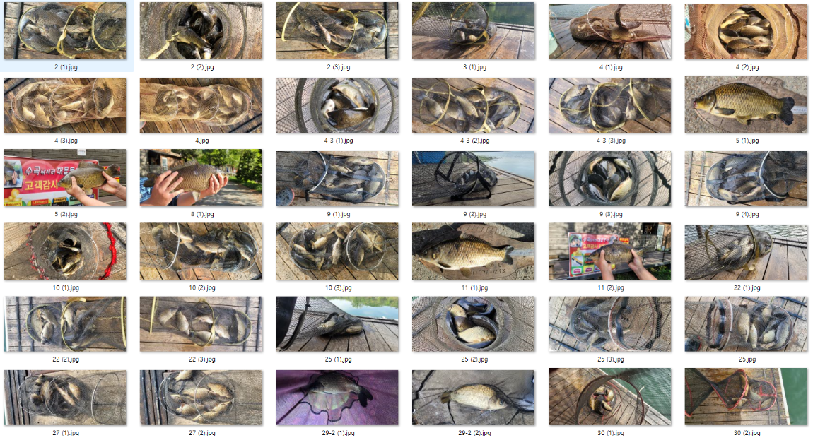 �̹��� 1.png