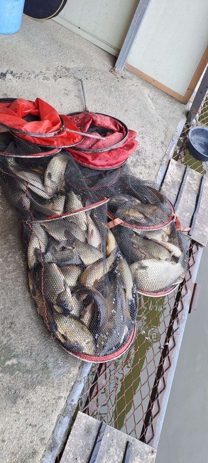 KakaoTalk_20260422_101731345 (1).jpg