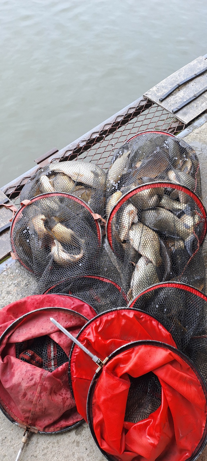 KakaoTalk_20260422_101731345_01 (1).jpg