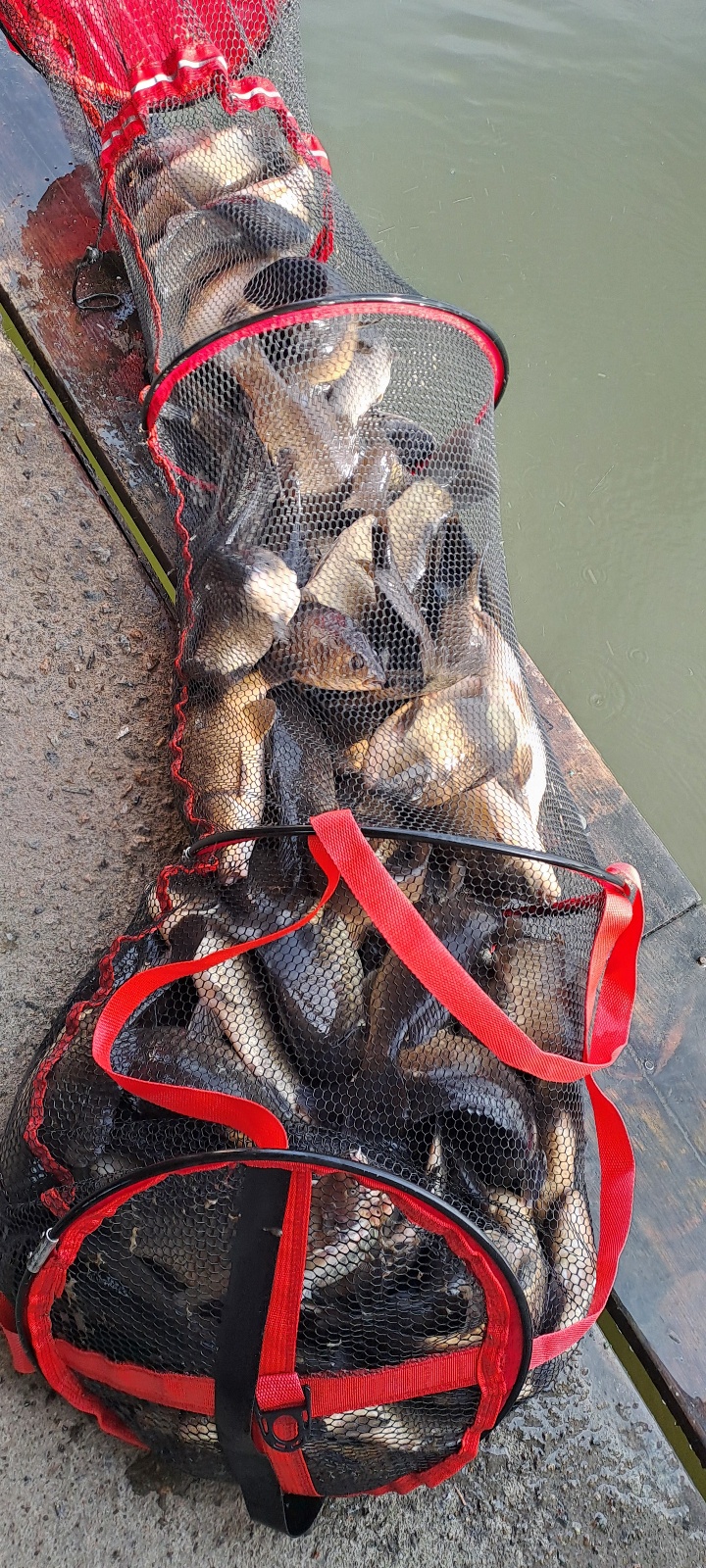 KakaoTalk_20260422_101731345_13 (1).jpg