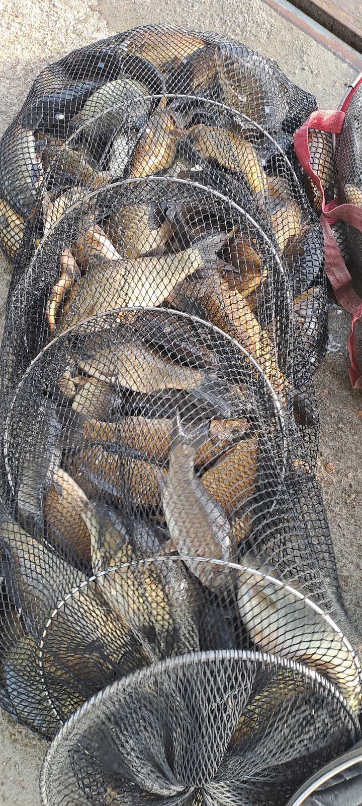 KakaoTalk_20260422_101731345_18 (1).jpg