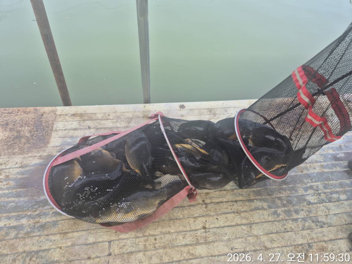 KakaoTalk_20260427_120653314 (1).jpg