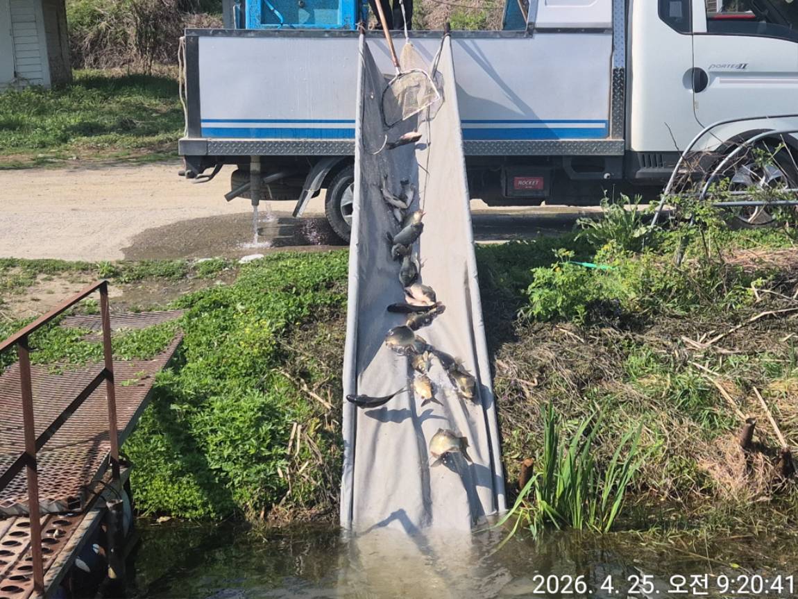 KakaoTalk_20260427_114758588 (1).jpg