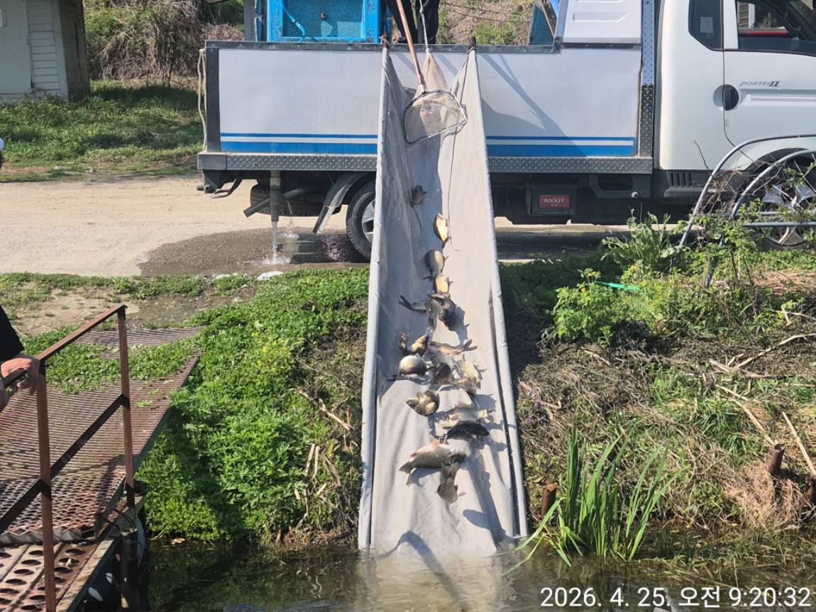 KakaoTalk_20260427_114758588_02 (1).jpg