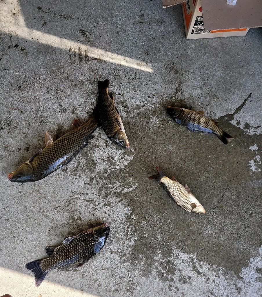 Screenshot_20260428_073350_Samsung Browser.jpg