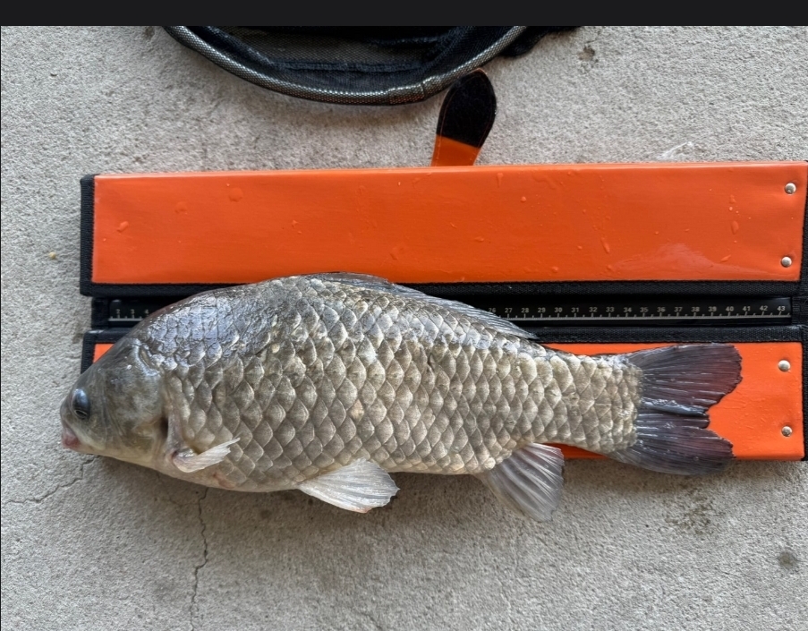 Screenshot_20260428_073407_Samsung Browser.jpg