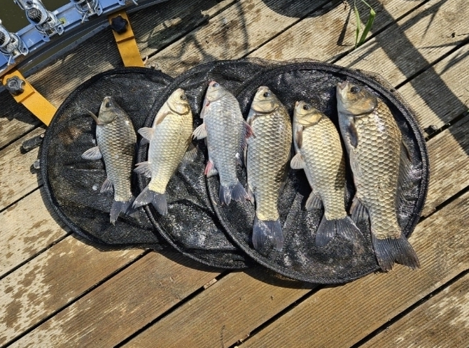 Screenshot_20260427_200034_Samsung Browser.jpg