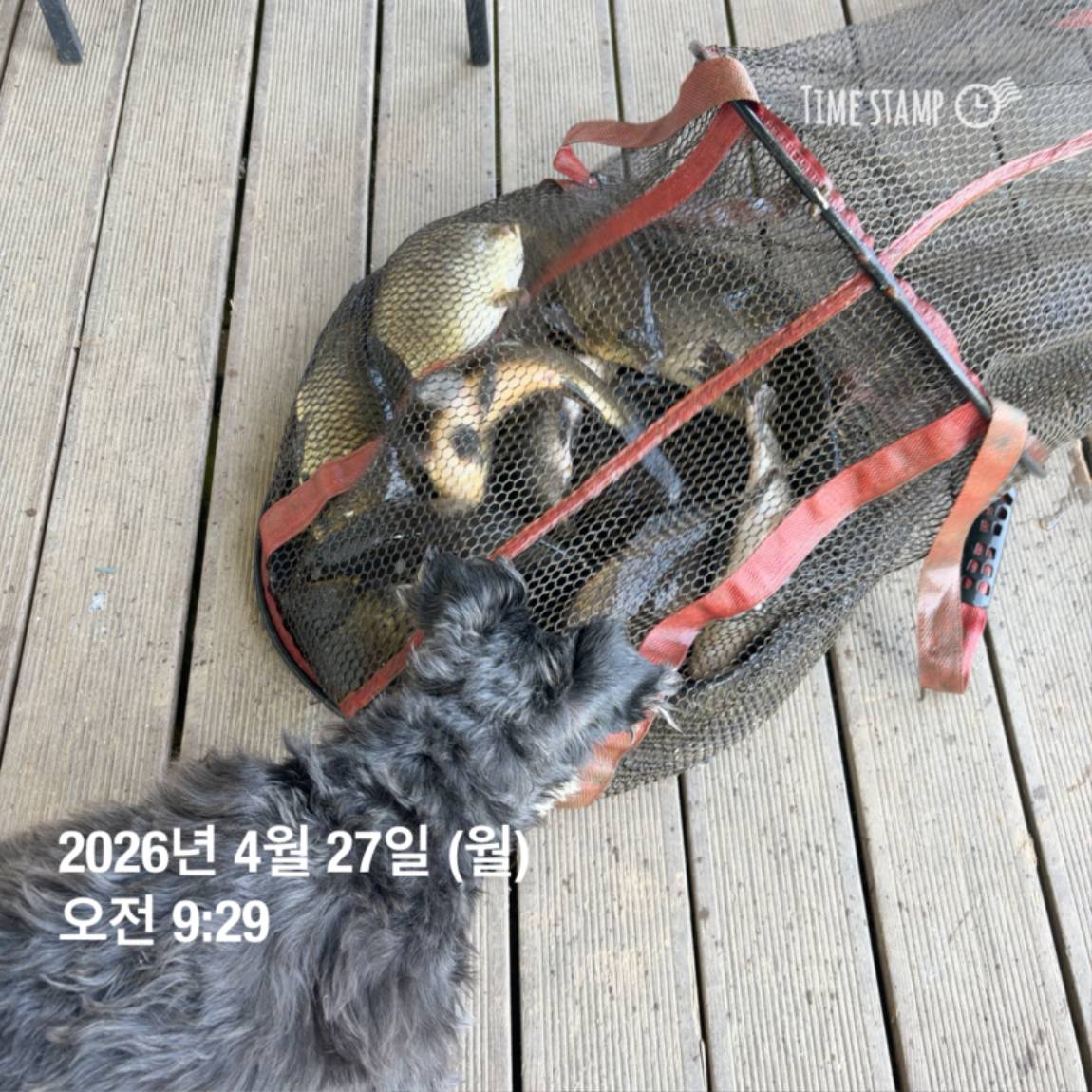 KakaoTalk_20260429_101334761_07.jpg