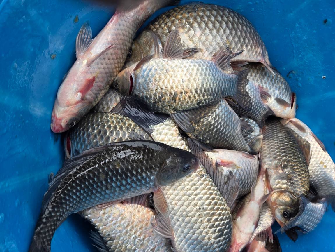 KakaoTalk_20260428_132715296_02 (1).jpg