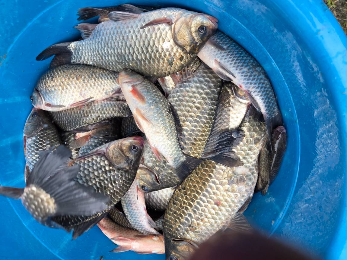 KakaoTalk_20260428_132715296_06 (1).jpg