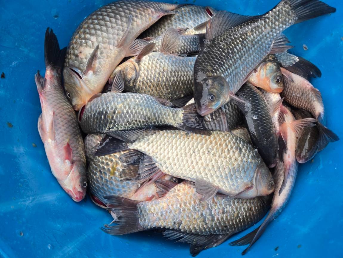 KakaoTalk_20260428_132715296_05 (1).jpg