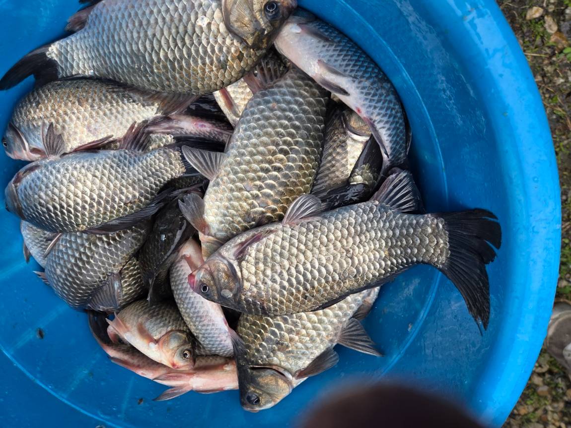 KakaoTalk_20260428_132715296_04 (1).jpg