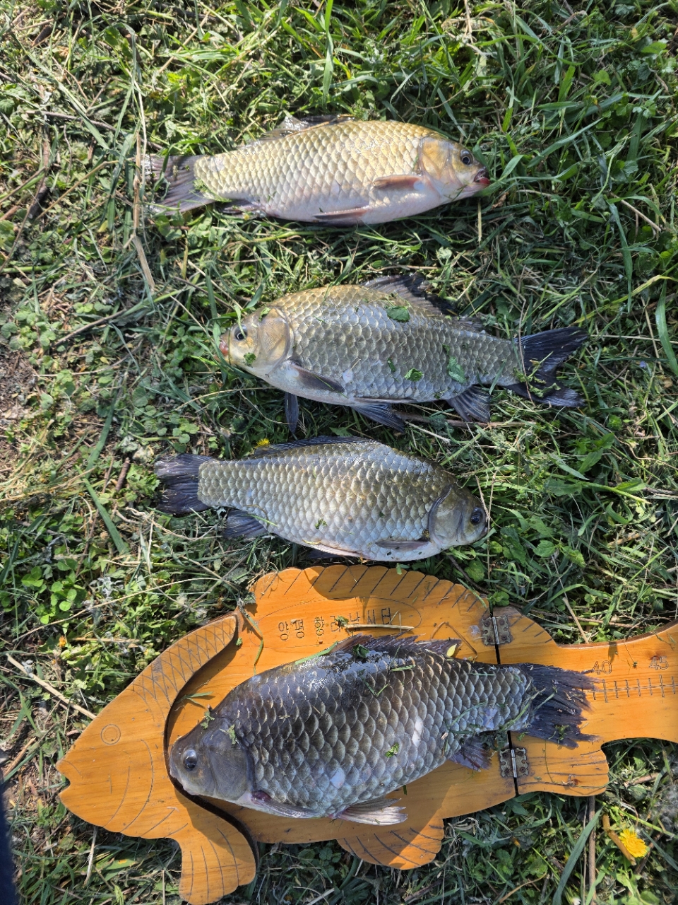 �⸮������_����_20260430_49.jpg