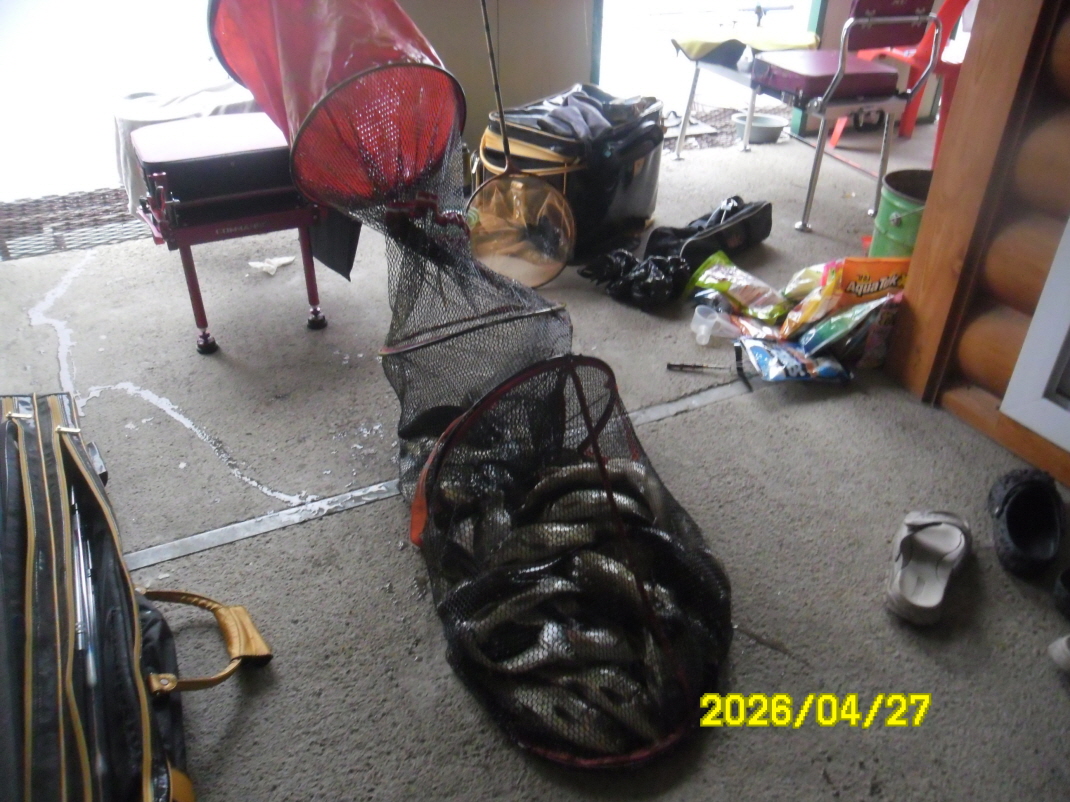 SAM_9220.JPG