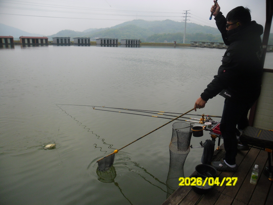 SAM_9229.JPG