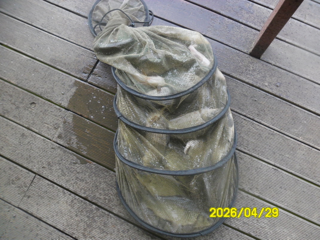 SAM_9270.JPG