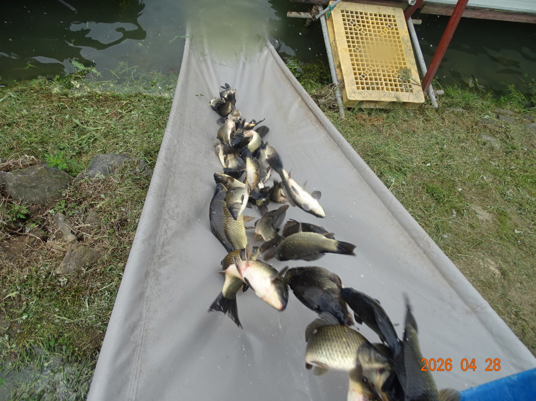 DSC02685.JPG