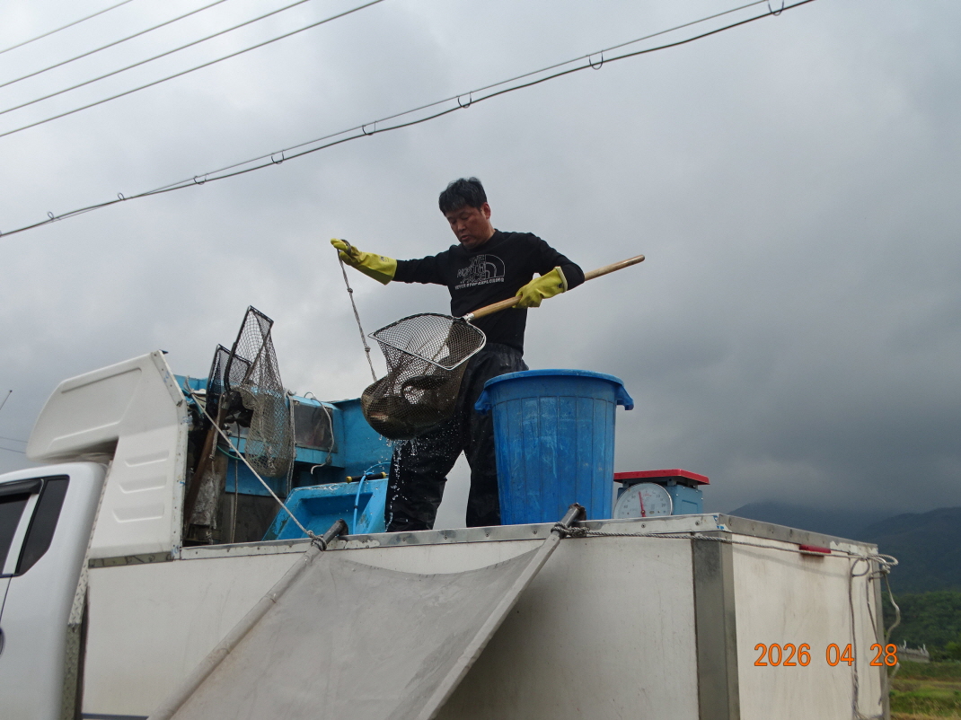 DSC02695.JPG