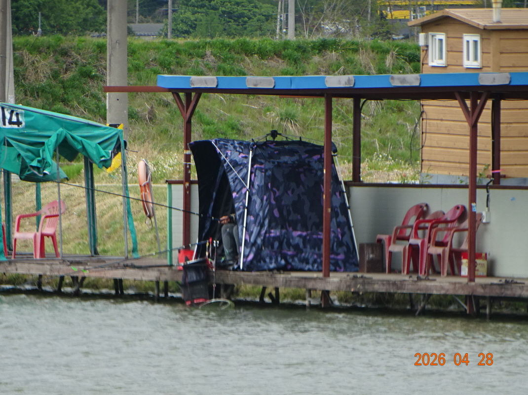 DSC02704.JPG