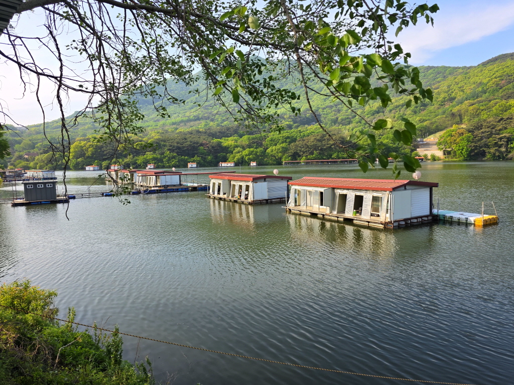 KakaoTalk_20260501_081114131[edit].jpg