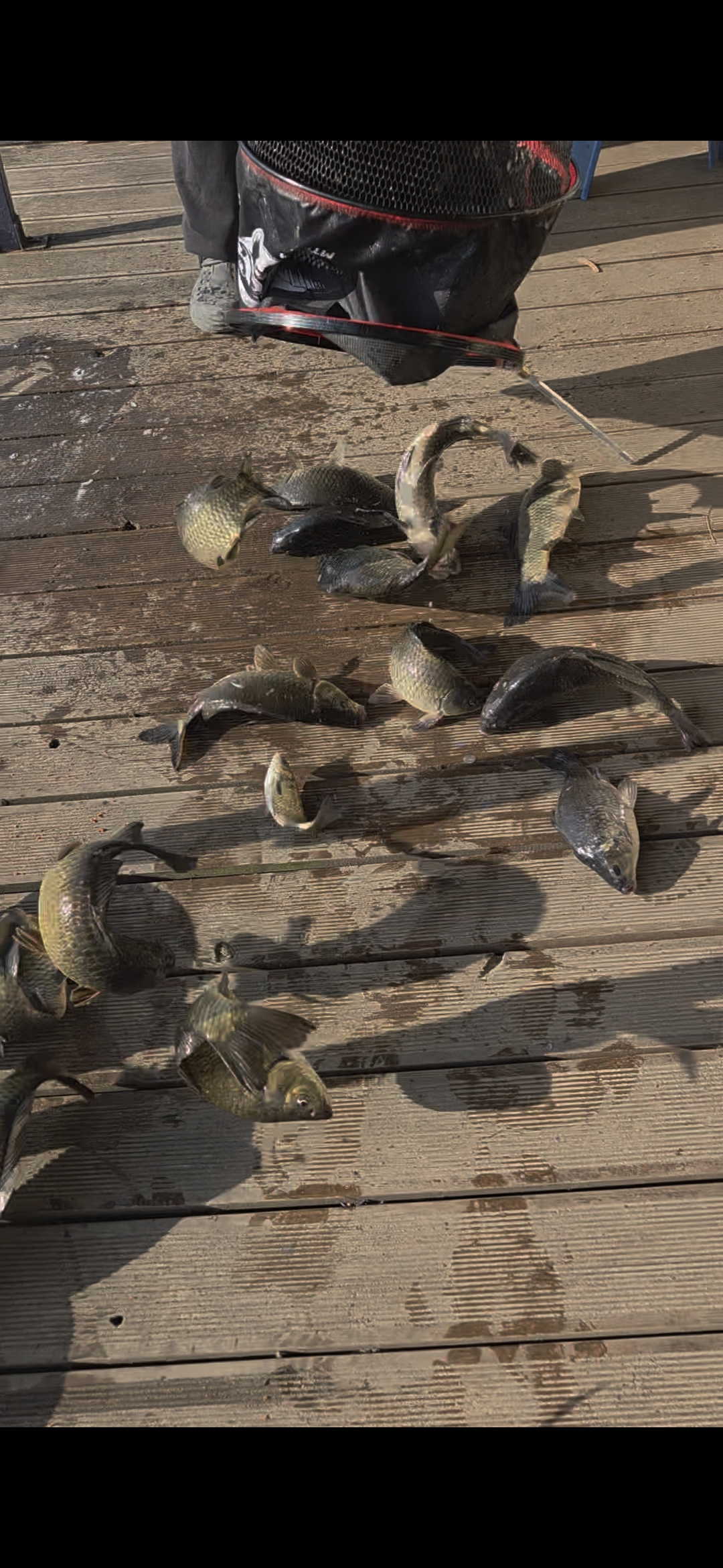 Screenshot_20260501_080023_Gallery.jpg