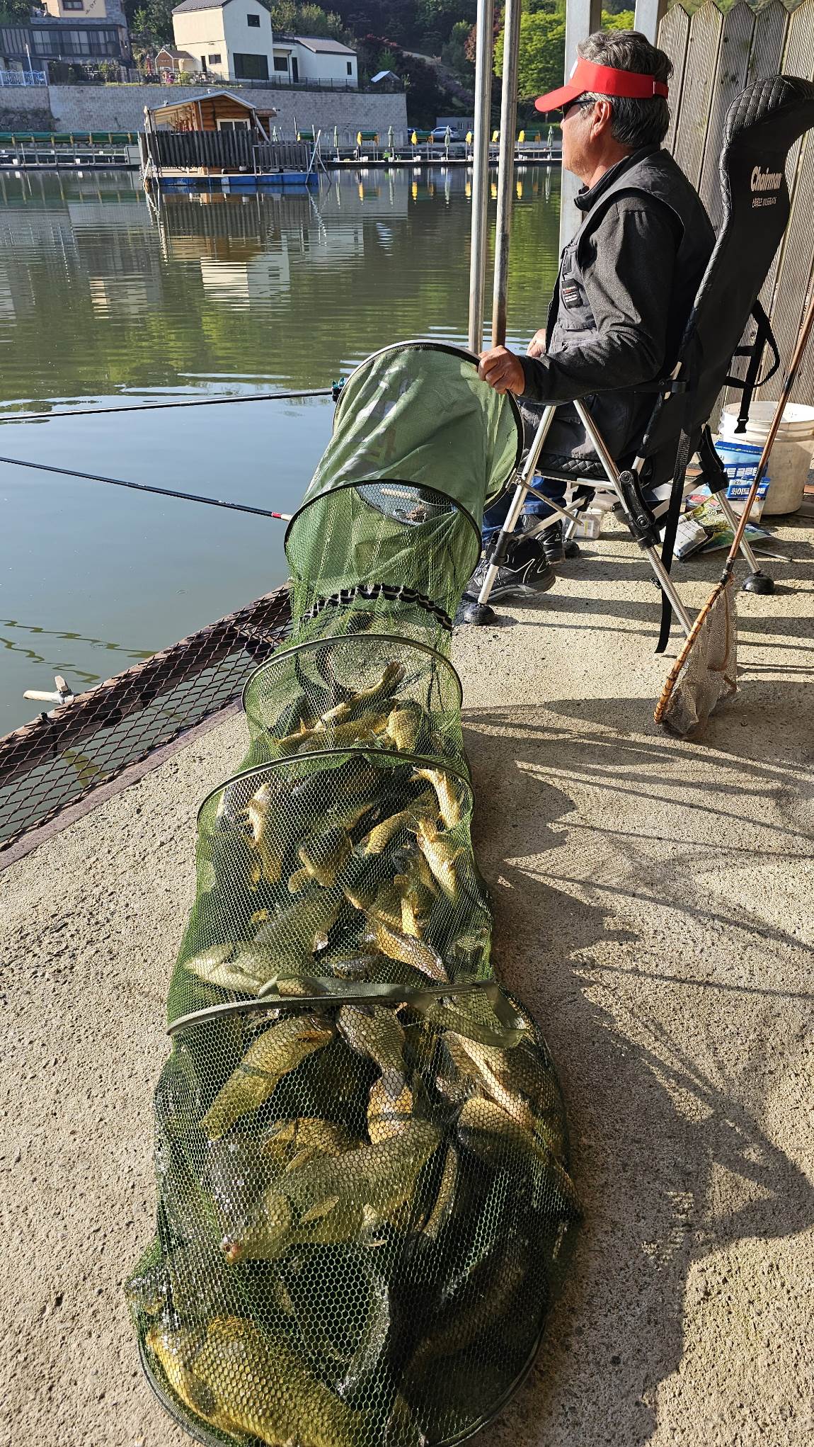 20260430_073537.jpg