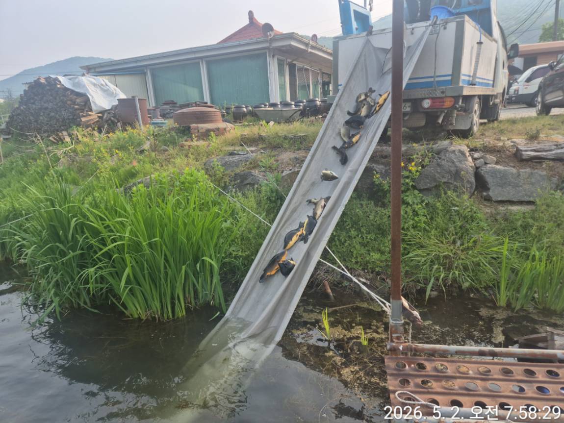 KakaoTalk_20260502_081541775_03 (1).jpg