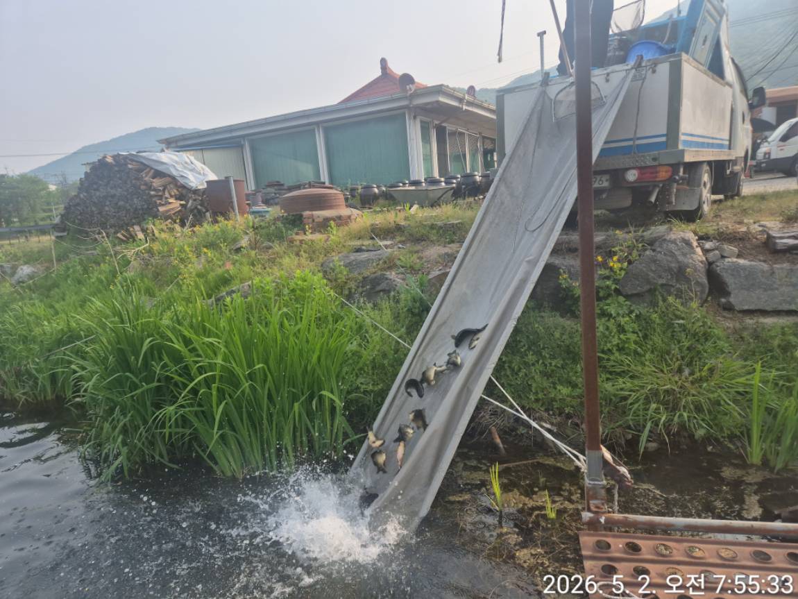 KakaoTalk_20260502_081541775_13 (1).jpg