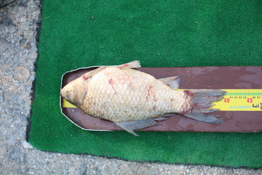 ũ�⺯ȯ_IMG_6212.JPG
