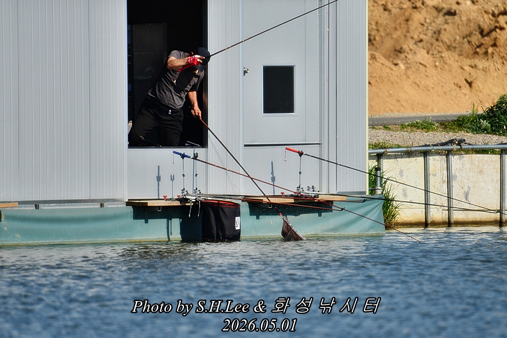 LSH_7923.JPG