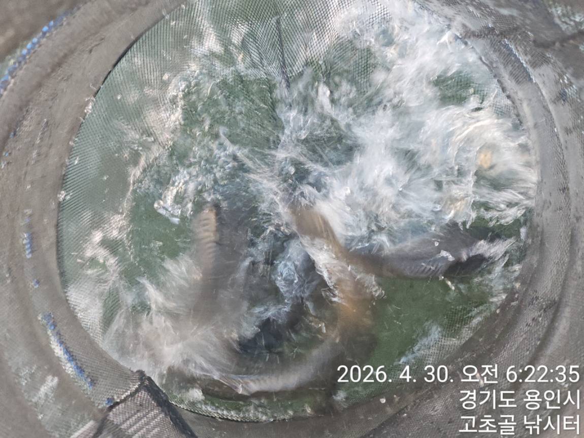 1777695609573.jpg