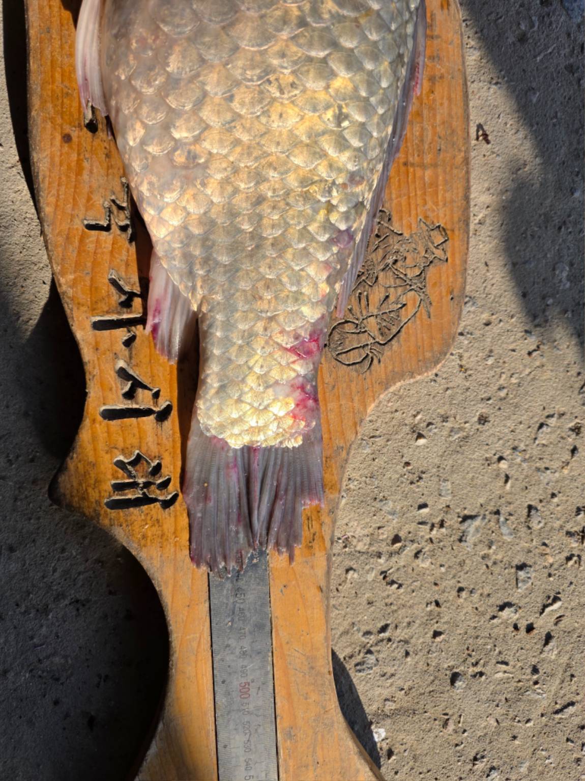 KakaoTalk_20260501_172916016_04.jpg
