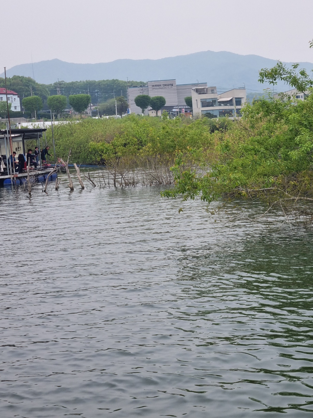 KakaoTalk_20260502_194646509_12.jpg