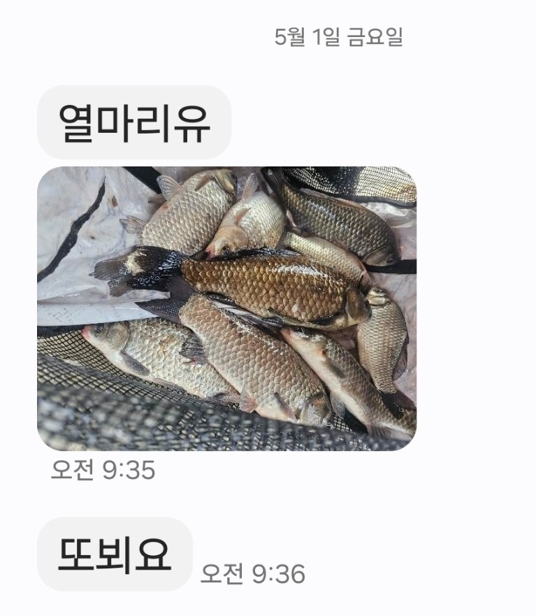 Screenshot_20260502_174439_Messages.jpg