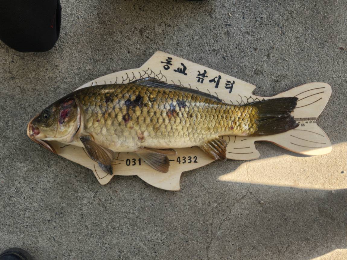 KakaoTalk_20260428_132321942_03.jpg